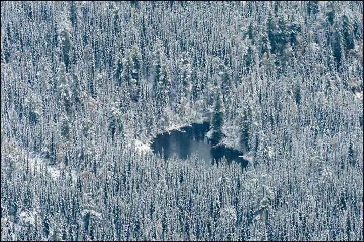 Hamar-Daban nature resort Trans-Baikal, courtesy Alexey Bezrukov