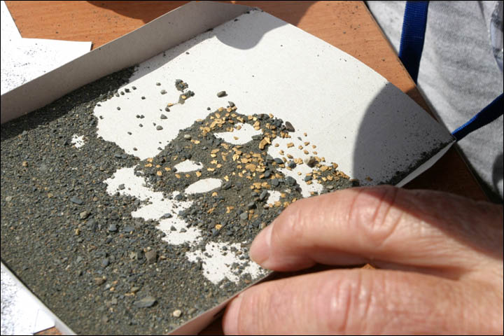 Gold panning