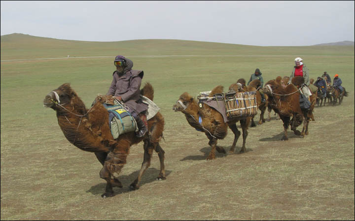 Travel across Silk Road