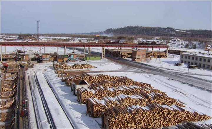 Siberian timber