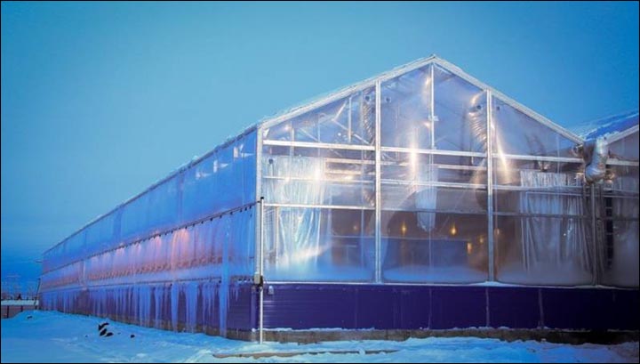 Greenhouse outside