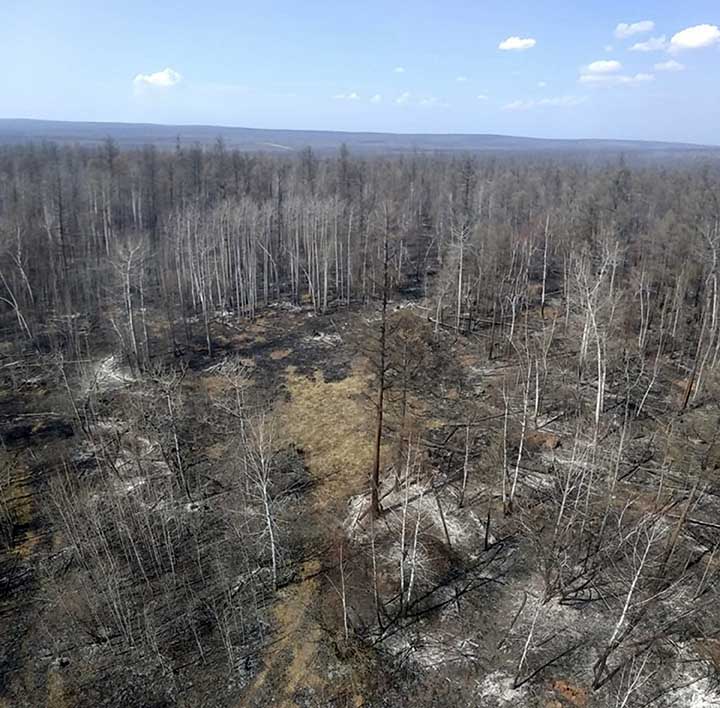 Wildfires ‘critical’ in Siberia and Russian Far East, up to ten times worse than last year