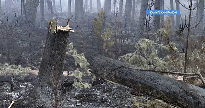 Wildfires ‘critical’ in Siberia and Russian Far East, up to ten times worse than last year