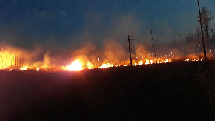 Wildfires ‘critical’ in Siberia and Russian Far East, up to ten times worse than last year