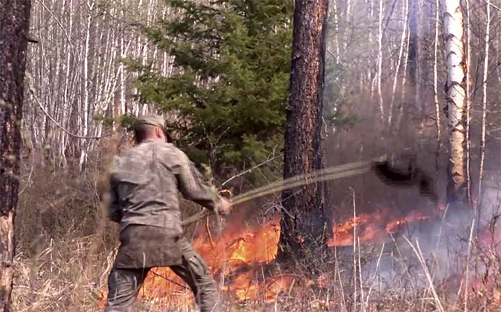 Wildfires ‘critical’ in Siberia and Russian Far East, up to ten times worse than last year