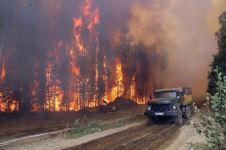 Wildfires in Krasnoyarsk region