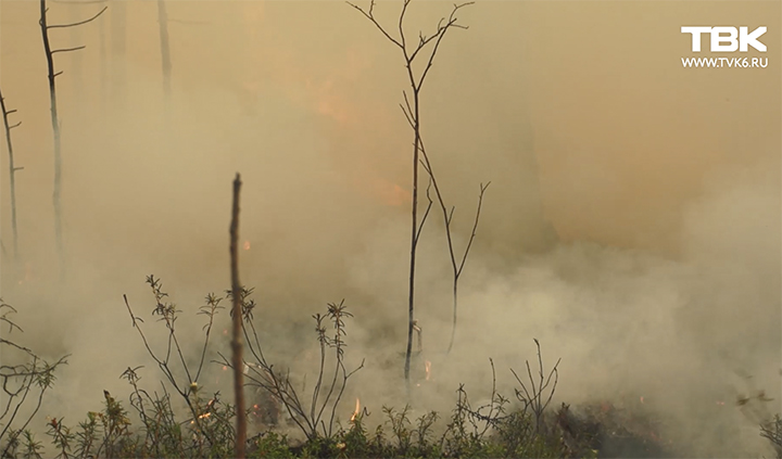 Wildfires in Krasnoyarsk region