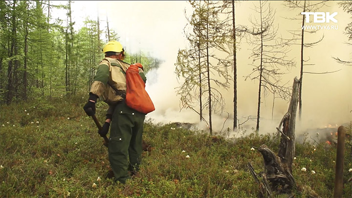 Wildfires in Krasnoyarsk region