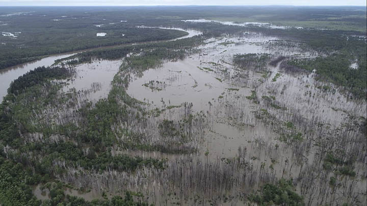 Flood in Amur region