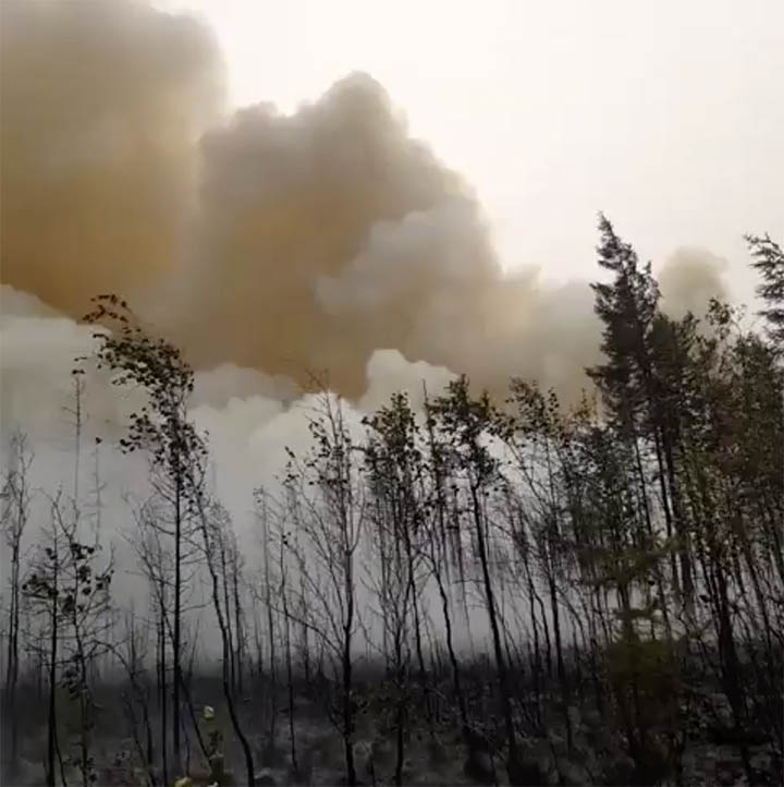 Wildfires in Yakutia