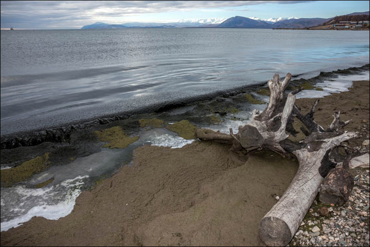 Baikal algae