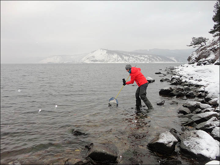 Scientist takes samples 