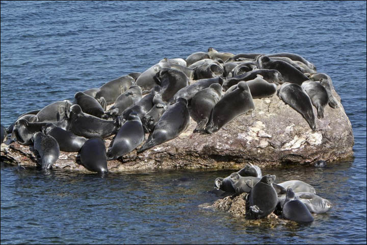 Sunbathing in the middle of Lake Baikal