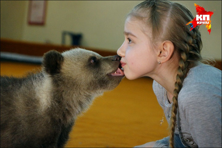 Bears awakening