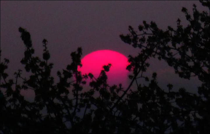 Smoke from Siberian fires causes dramatic sunsets in North America