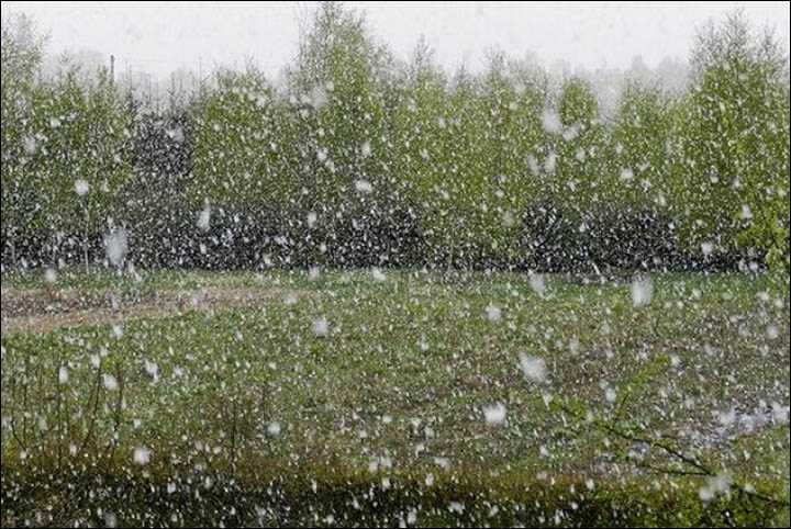 Snow falls in Chelyabinsk region