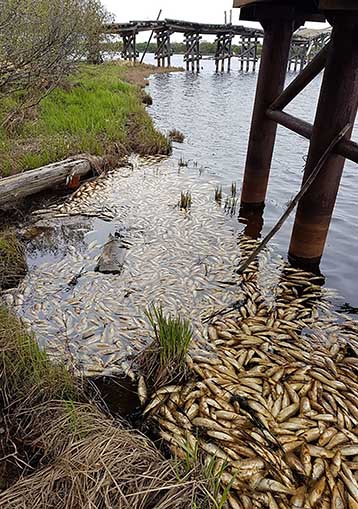 Sabo river