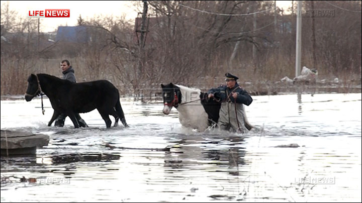 Rescue operation