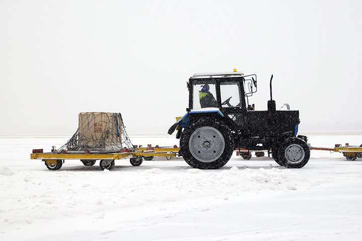 Leopard transported to the plane
