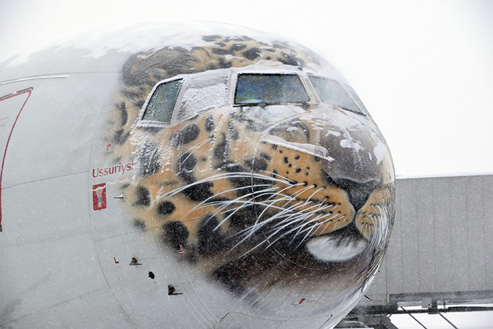 Leo Express is ready to fly