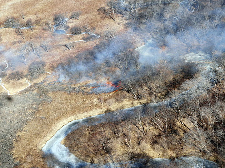 GV of a wildfire in the Land of Leopard