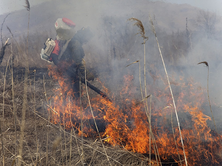 Employees of the Land of Leopard extinguishing the fire