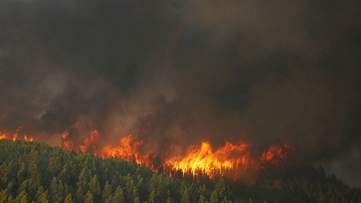 Fires in Evenkia