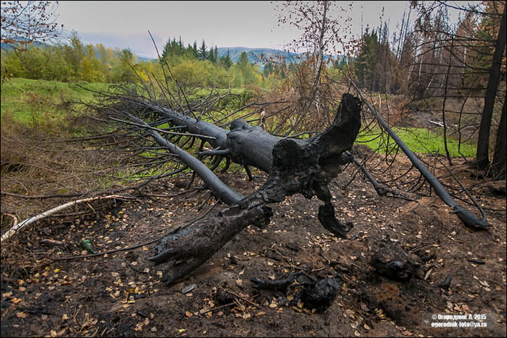 Peat fires in Buryatia
