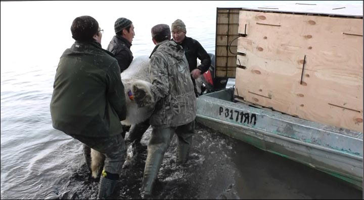 loading to the boat