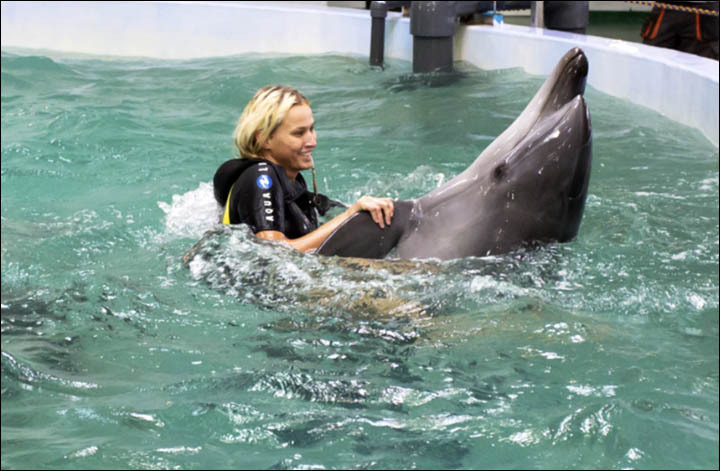 Primorsky Aquarium