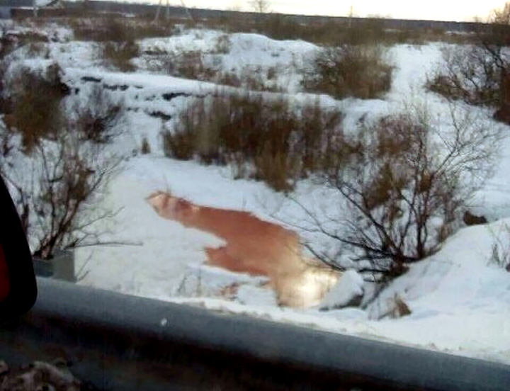 river turns bloody red in Siberia 