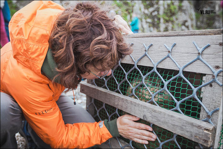 Three months of rehabilitation deemed a success as the female pair swim off back into the water