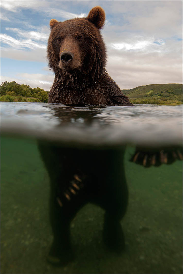 Sergey Gorshkov wildlife photography
