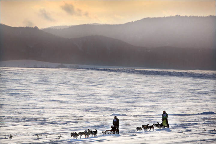 Dog race on Swan Lake