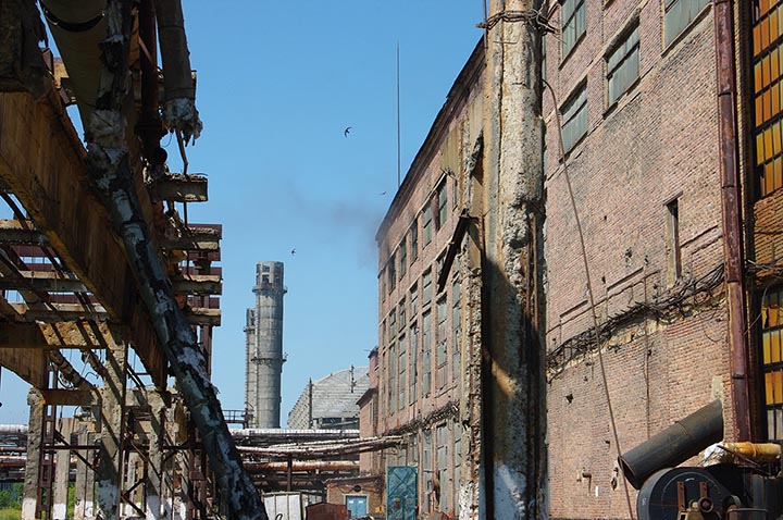 Inside the plant