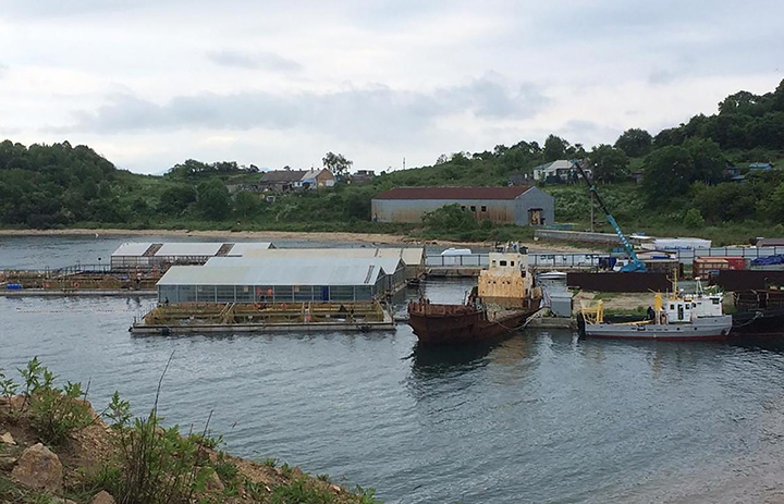 Whale jail in Nakhodka