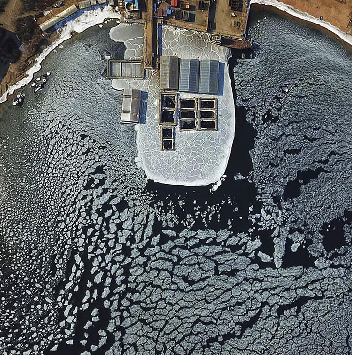 Whale jail in Nakhodka