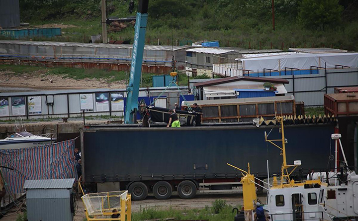 Beluga whale loaded into the truck