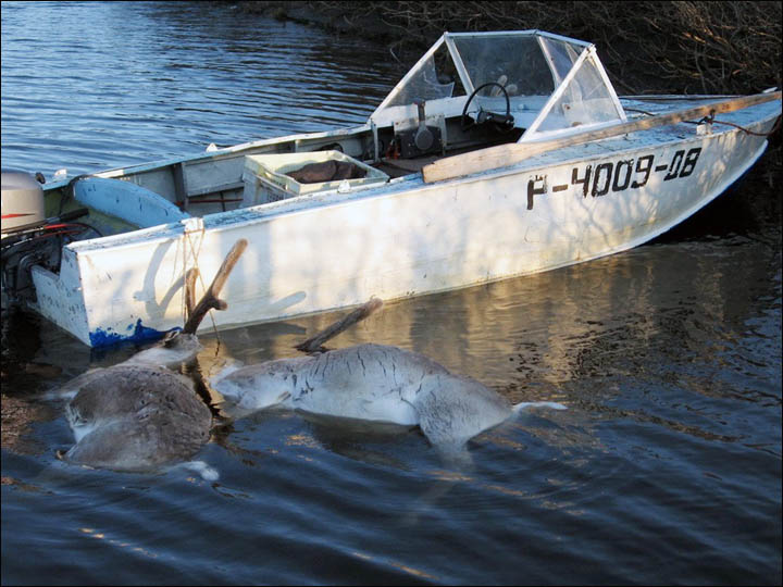 Reindeer hunt