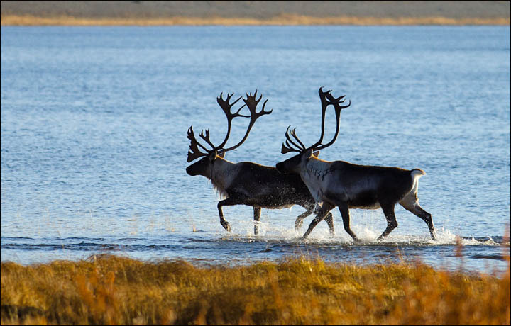 Crossing river