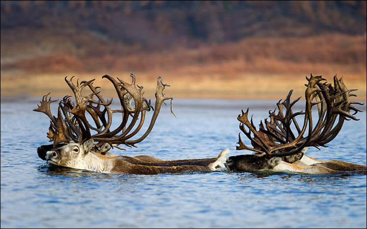 Crossing river