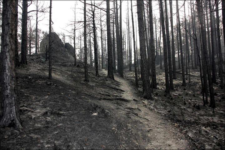 Baikal on fire