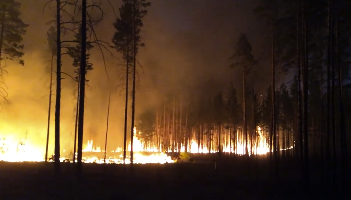 Wildfires in Siberia