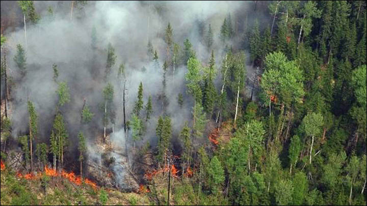 Wildfires in Yakutia