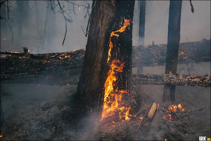 Wildfires in Irkutsk region