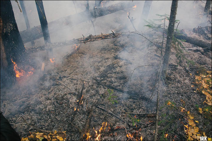 Wildfires in Irkutsk region