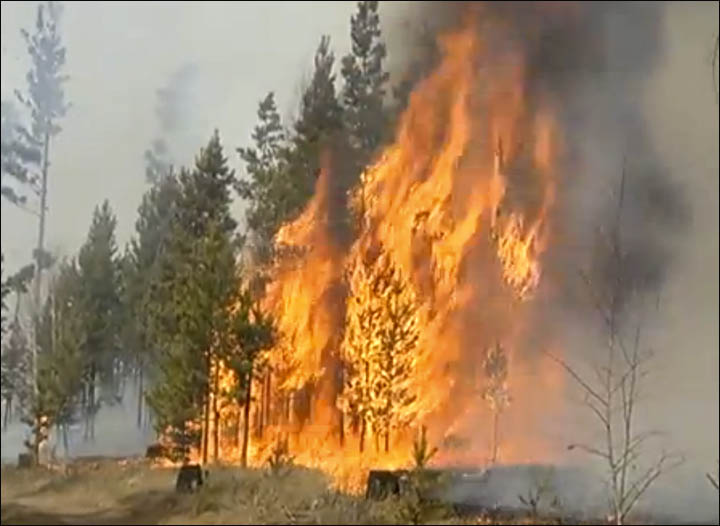 Wildfires in Trans-Baikal region