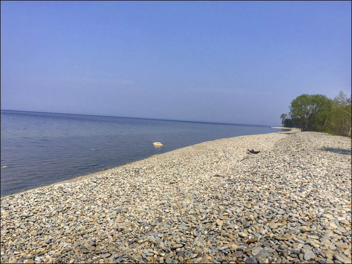 Cleaned shore