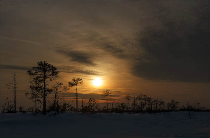 Sunset Vasyugany