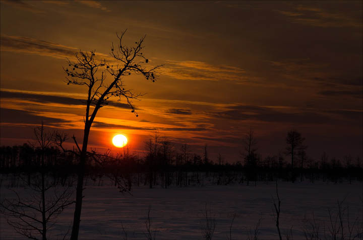 Sunset Vasyugany